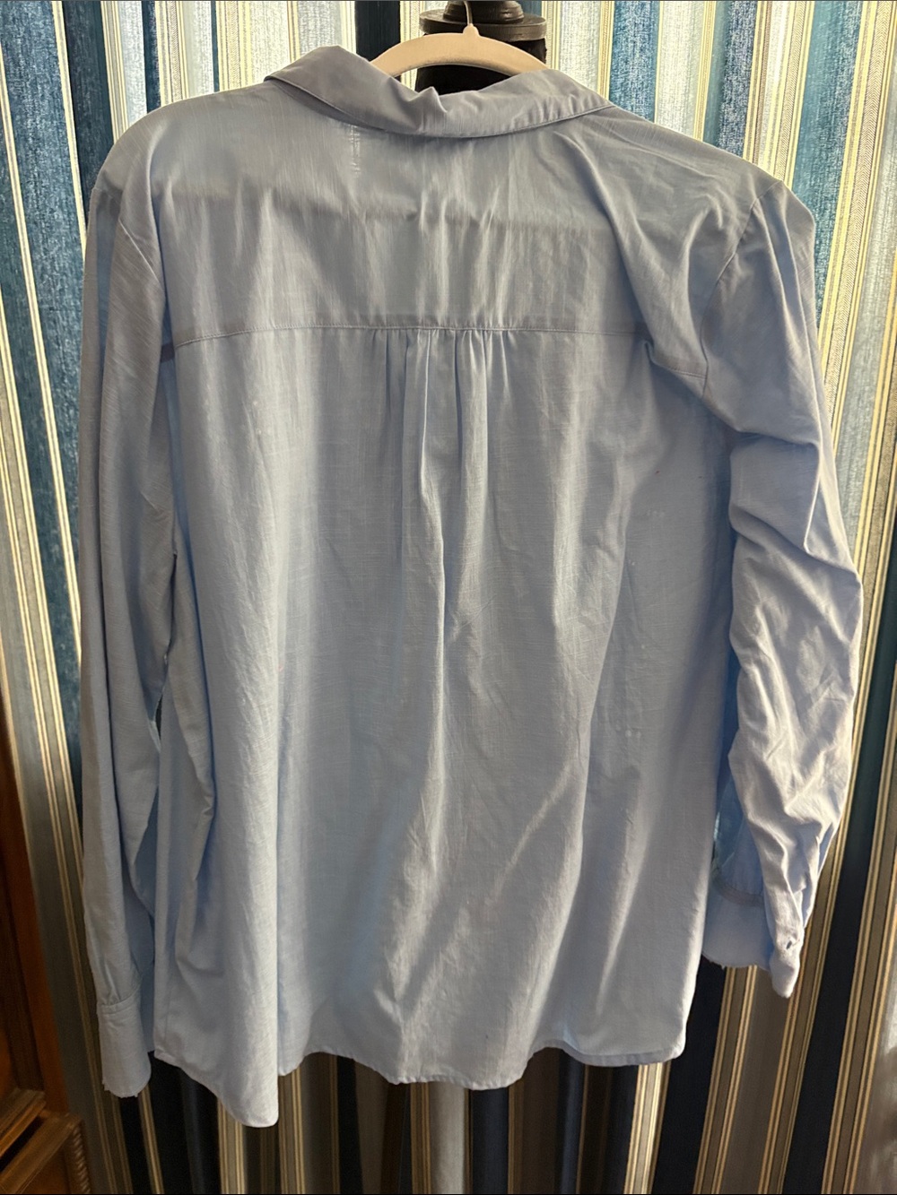 Light Blue Embroidered Button-Front Shirt - Picture 4 of 6